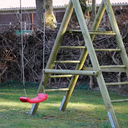 Traumkrone - Abendrot * Шортенс