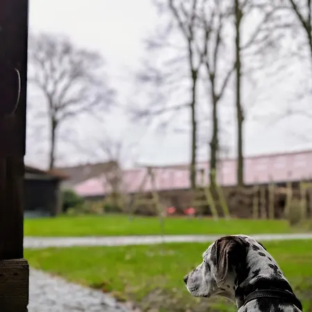 Апартаменты Traumkrone - Abendrot *