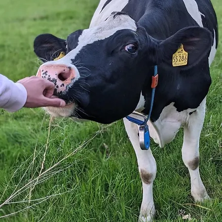 Апартаменты Traumkrone - Abendrot