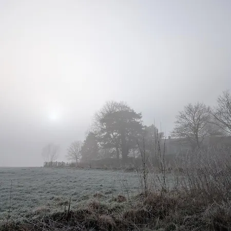 Traumkrone - Abendrot Шортенс