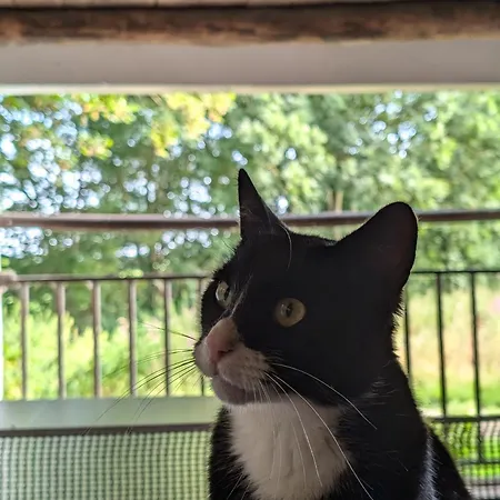 Traumkrone - Abendrot Апартаменты