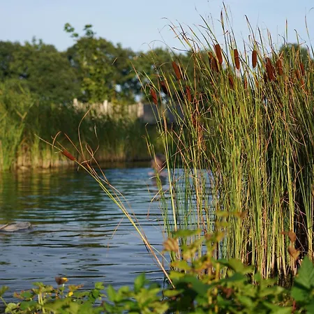 Апартаменты Traumkrone - Abendrot