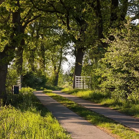 Апартаменты Traumkrone - Abendrot Шортенс