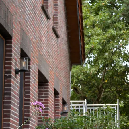 Traumkrone - Abendrot * Шортенс