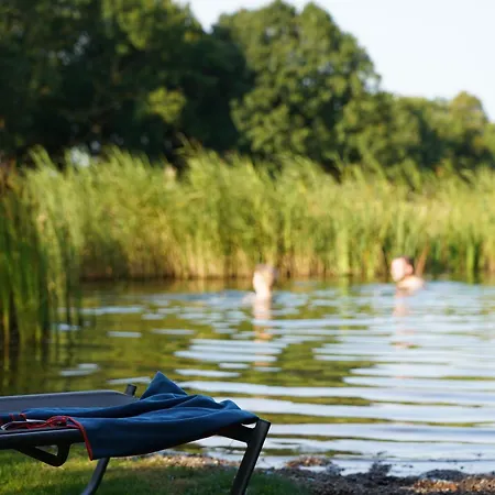 Traumkrone - Abendrot Шортенс