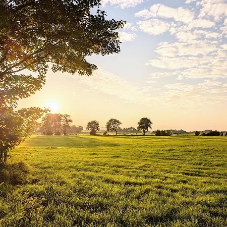 Traumkrone - Abendrot *