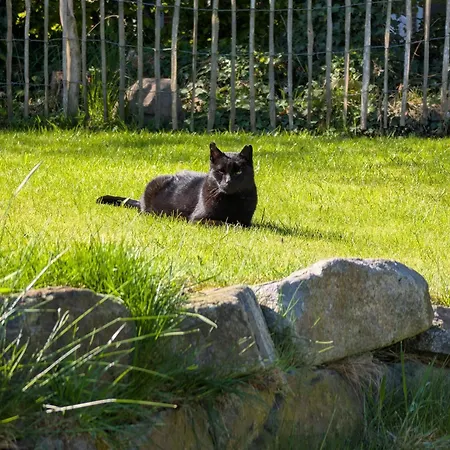 Апартаменты Traumkrone - Abendrot Шортенс