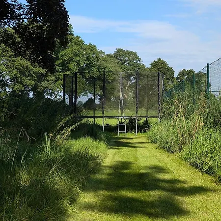 Traumkrone - Abendrot Шортенс