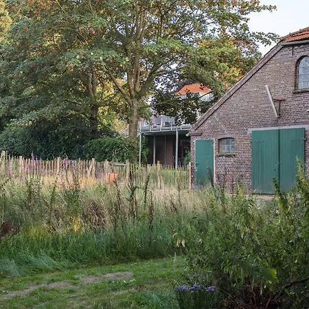 Traumkrone - Abendrot