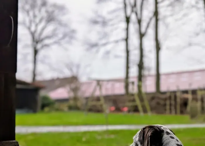 Apartamento Traumkrone - Abendrot *