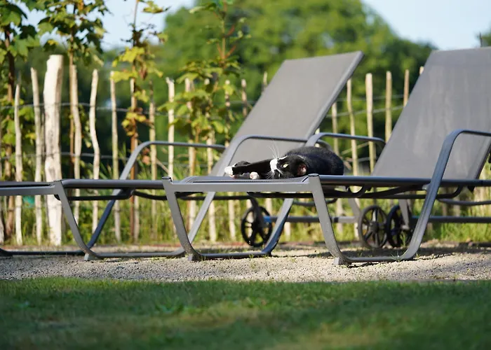 Traumkrone - Abendrot *