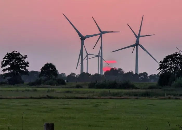 Traumkrone - Abendrot