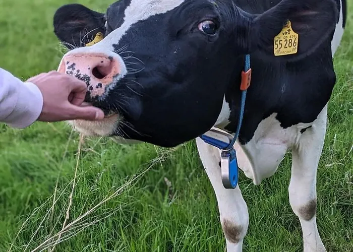 Apartamento Traumkrone - Abendrot