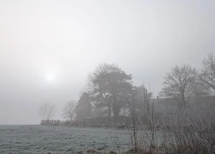 Traumkrone - Abendrot Schortens
