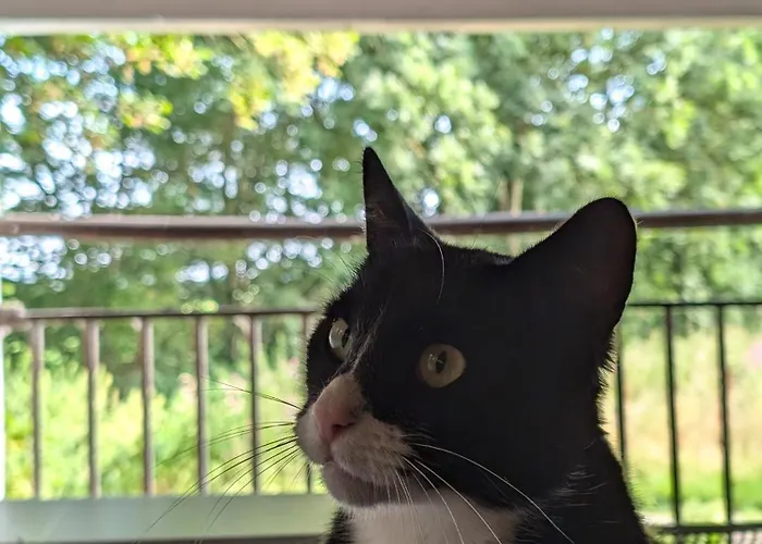 Traumkrone - Abendrot Apartamento