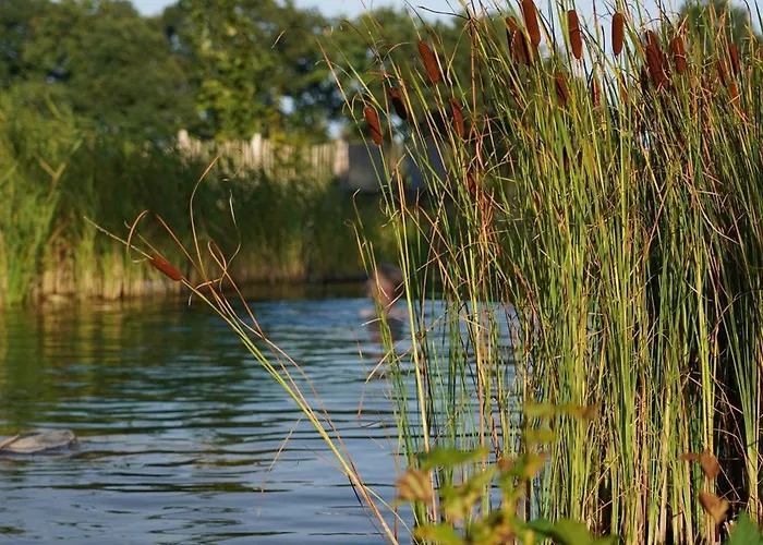 Apartamento Traumkrone - Abendrot