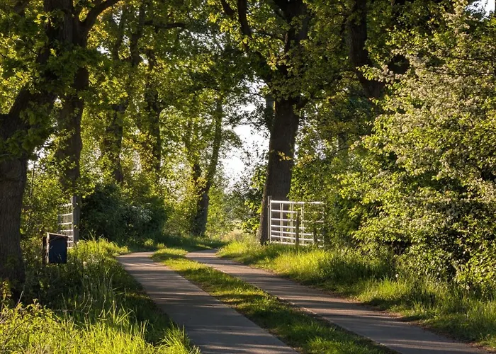 Apartamento Traumkrone - Abendrot Schortens
