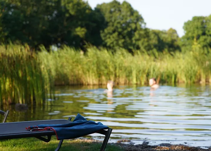 Traumkrone - Abendrot Schortens