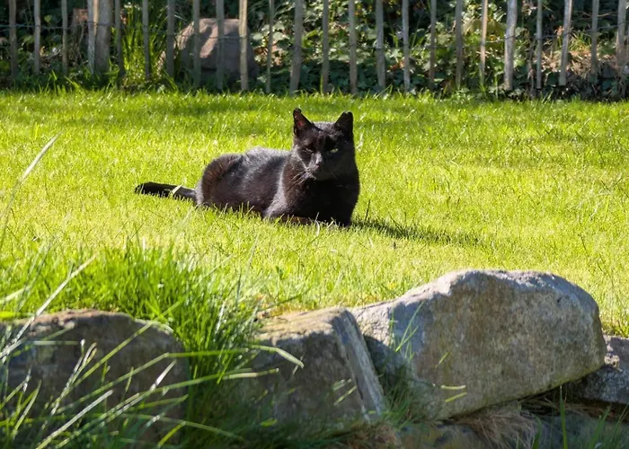 Apartamento Traumkrone - Abendrot Schortens