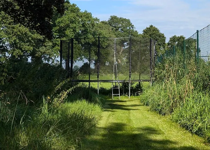 Traumkrone - Abendrot Schortens