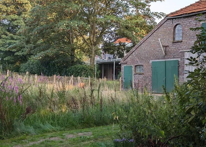 Traumkrone - Abendrot